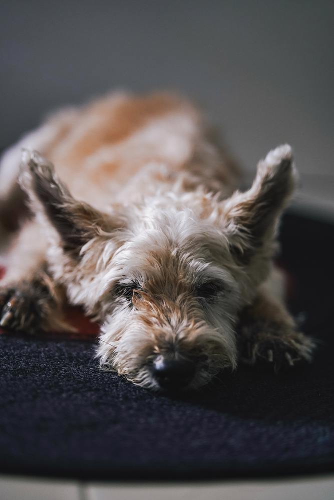 main Sharon Tay Jejfyvxnom4 Unsplash