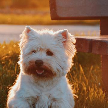 Zoe Ra Sirepwjfsmo Unsplash Zoe Ra Sirepwjfsmo Unsplash