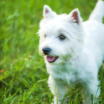Istockphoto 1256380286 170667A Istockphoto 1256380286 170667A