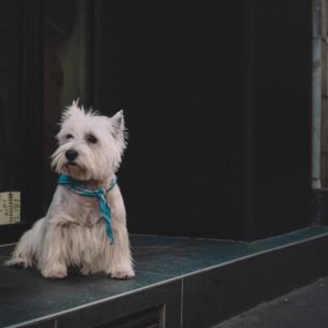 Egor Myznik Syaekxpnsby Unsplash Egor Myznik Syaekxpnsby Unsplash
